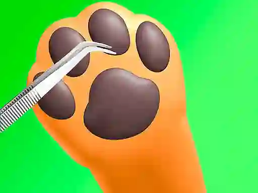 Leikur Paw Care á netinu