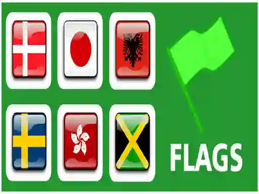 Leikur Flags á netinu