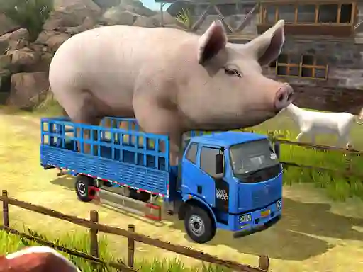 Leikur Driver Master Simulator á netinu