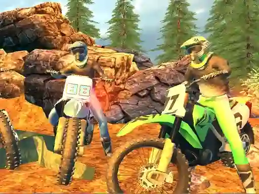 Leikur Offroad Motorcycle Bike Racing 2020 á netinu