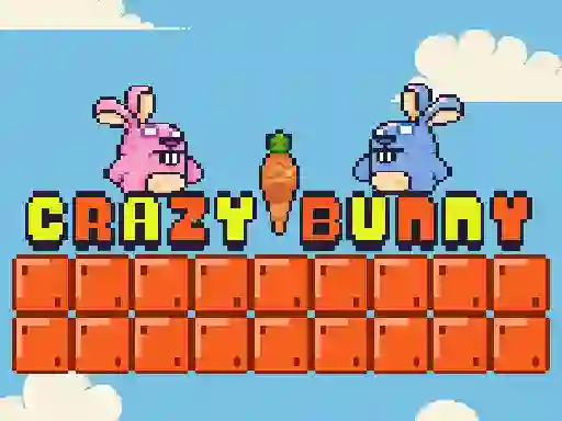 Leikur Crazy Bunny á netinu