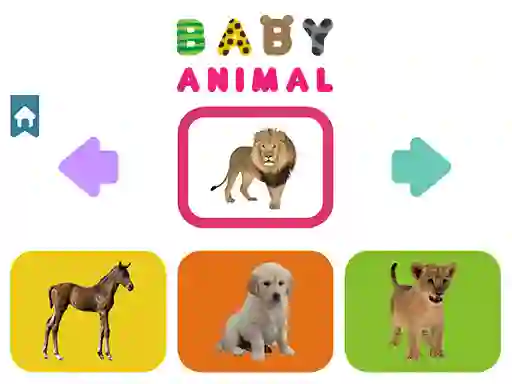 Leikur Baby Animal á netinu