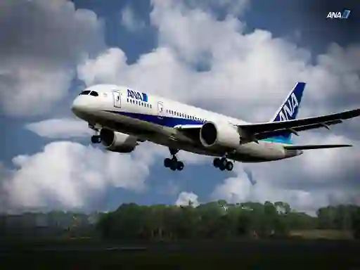 Leikur Boeing Dreamliner Puzzle á netinu