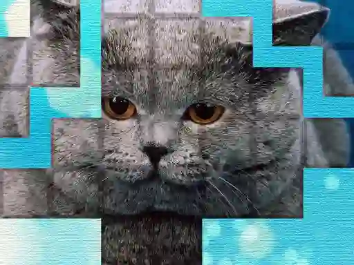 Leikur PicPu Cat á netinu