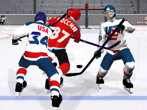 Leikur Ice Hockey Cup 2024 á netinu