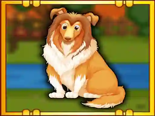 Leikur Bernese Mountain Dog Escape á netinu
