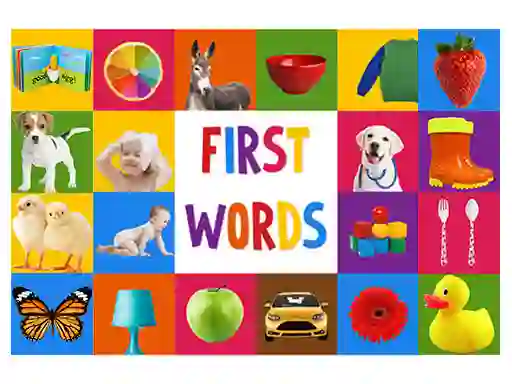 Leikur First Words á netinu