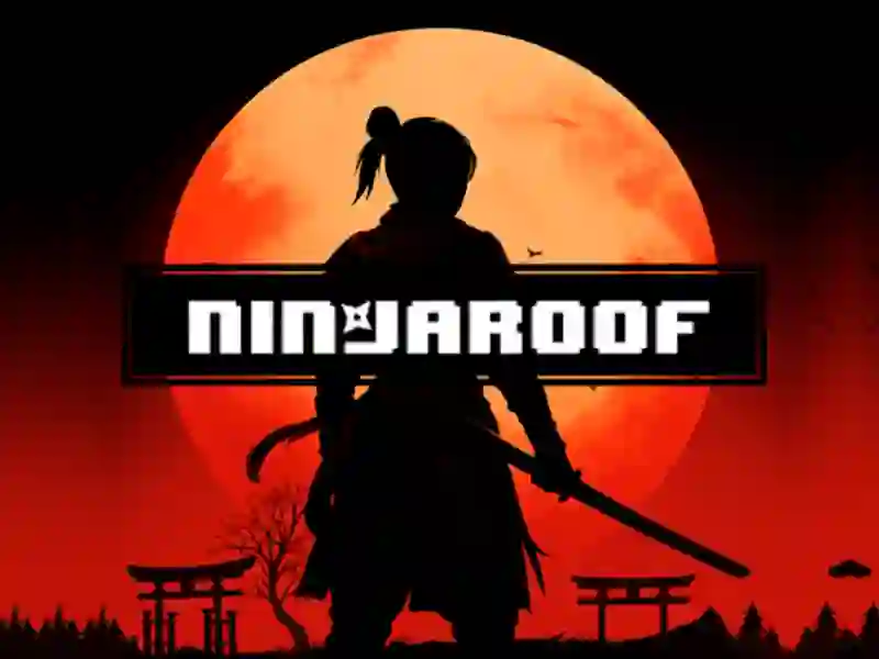 Leikur Ninja Roof á netinu