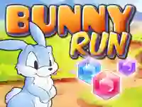 Leikur Bunny Run á netinu