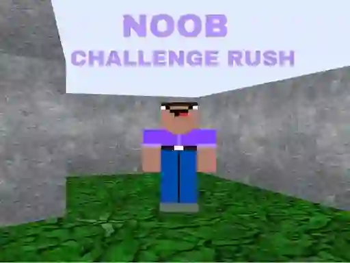 Leikur Noob Challenge Rush á netinu