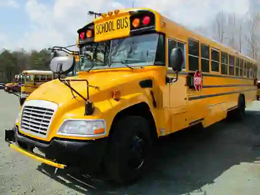 Leikur School Buses Puzzle á netinu