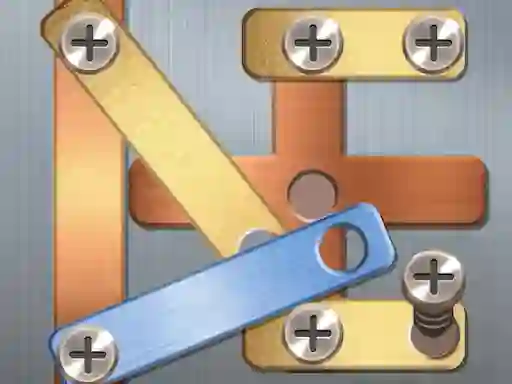 Leikur Screw Puzzle á netinu