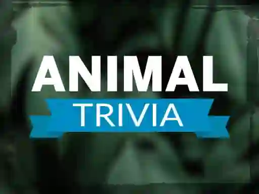 Leikur Animal Trivia á netinu