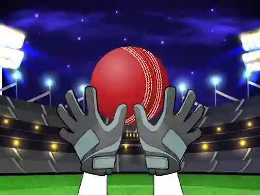 Leikur Catch The Balls á netinu