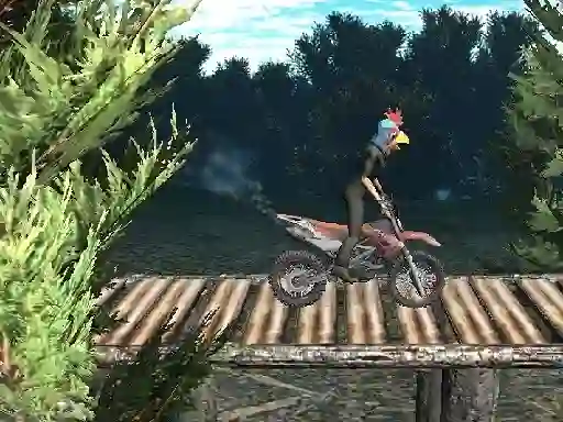 Leikur Bike Trial Xtreme Forest á netinu