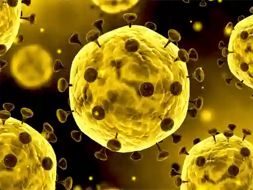 Leikur Coronavirus Slide á netinu