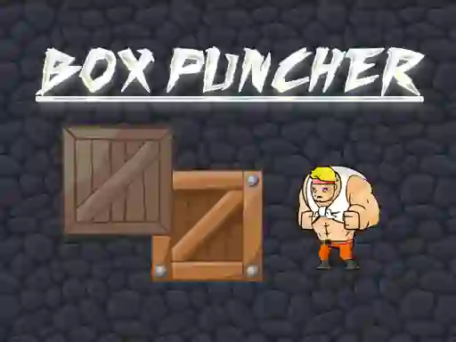 Leikur Box Puncher á netinu
