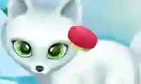 Leikur Paws to Beauty Arctic Edition á netinu