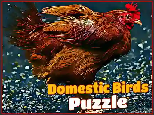 Leikur Domestic Birds Puzzle á netinu