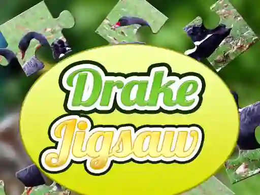 Leikur Drake Jigsaw á netinu