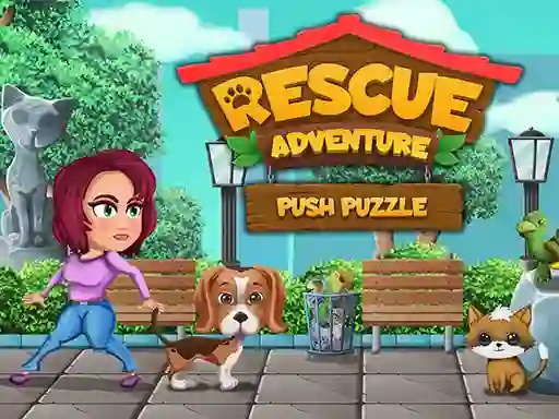 Leikur Rescue Adventure Push Puzzle á netinu
