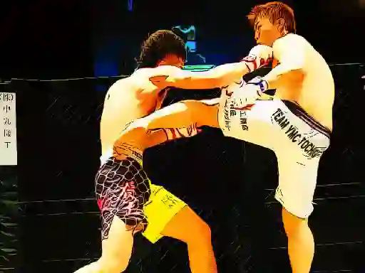 Leikur UFC Fighting Match Jigsaw á netinu