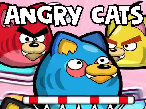 Leikur Angry Cats á netinu