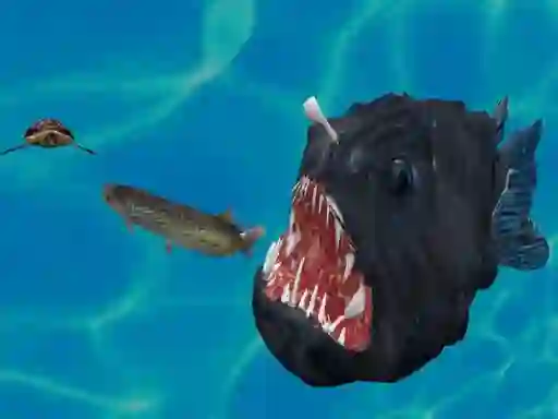 Leikur Fish 3d á netinu