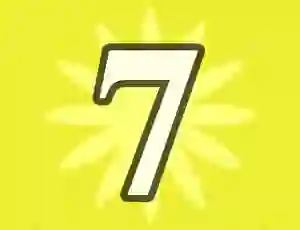 Leikur Number 7 á netinu