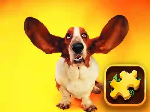 Leikur Funny Dogs Puzzle á netinu