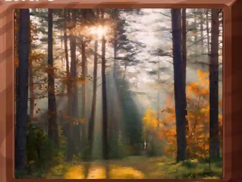 Leikur Image Block Puzzle á netinu