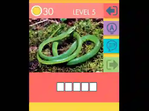 Leikur 15 Picture Quiz á netinu