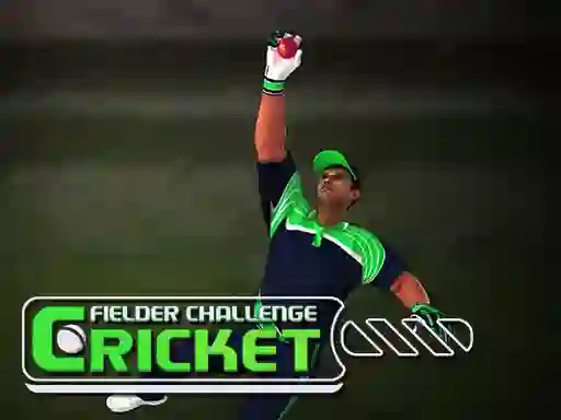 Leikur Cricket Fielder Challenge á netinu