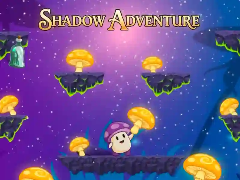 Leikur Shadow Adventure á netinu