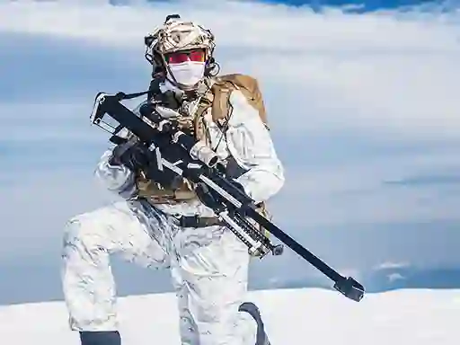 Leikur Snow Sniper á netinu