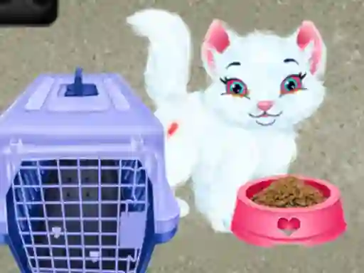 Leikur Baby Taylor Pet Care á netinu