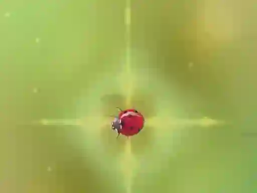 Leikur Pest Control á netinu