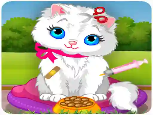 Leikur Vet Cat Clinic á netinu