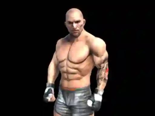 Leikur Fight Arena Online á netinu