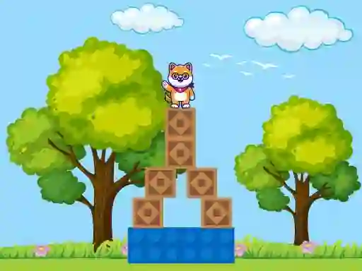 Leikur Box Challenge á netinu