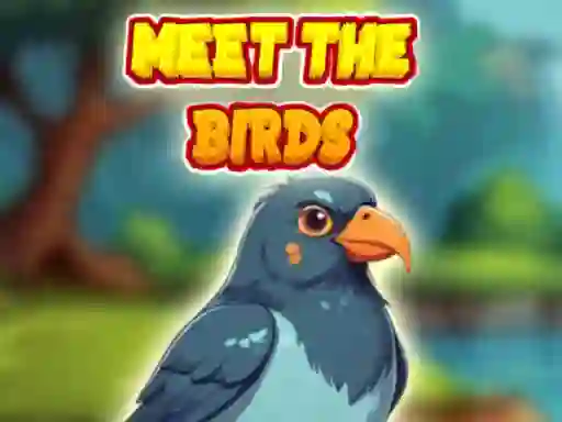 Leikur Meet The Birds á netinu