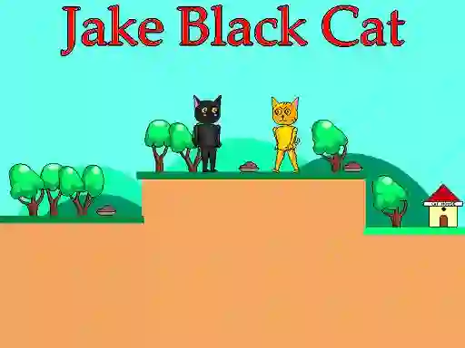 Leikur Jake Black Cat á netinu