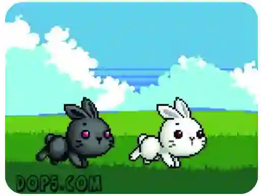 Leikur Cute Rabbit á netinu