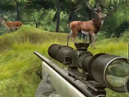 Leikur Stag Hunt á netinu