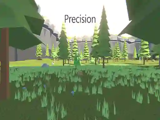 Leikur Precision á netinu