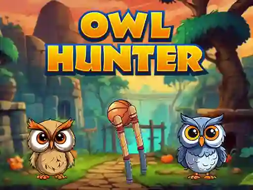 Leikur Owl Hunter á netinu
