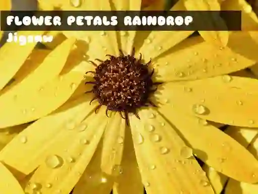 Leikur Flower Petals Raindrop Jigsaw á netinu