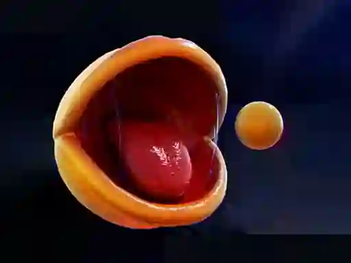 Leikur Pac-Man á netinu