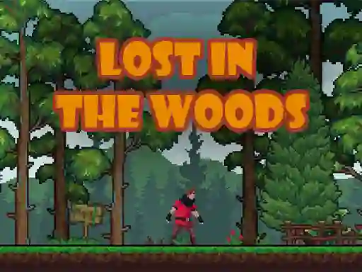 Leikur Lost in the Woods á netinu