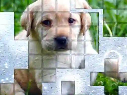 Leikur PicPu Dog á netinu